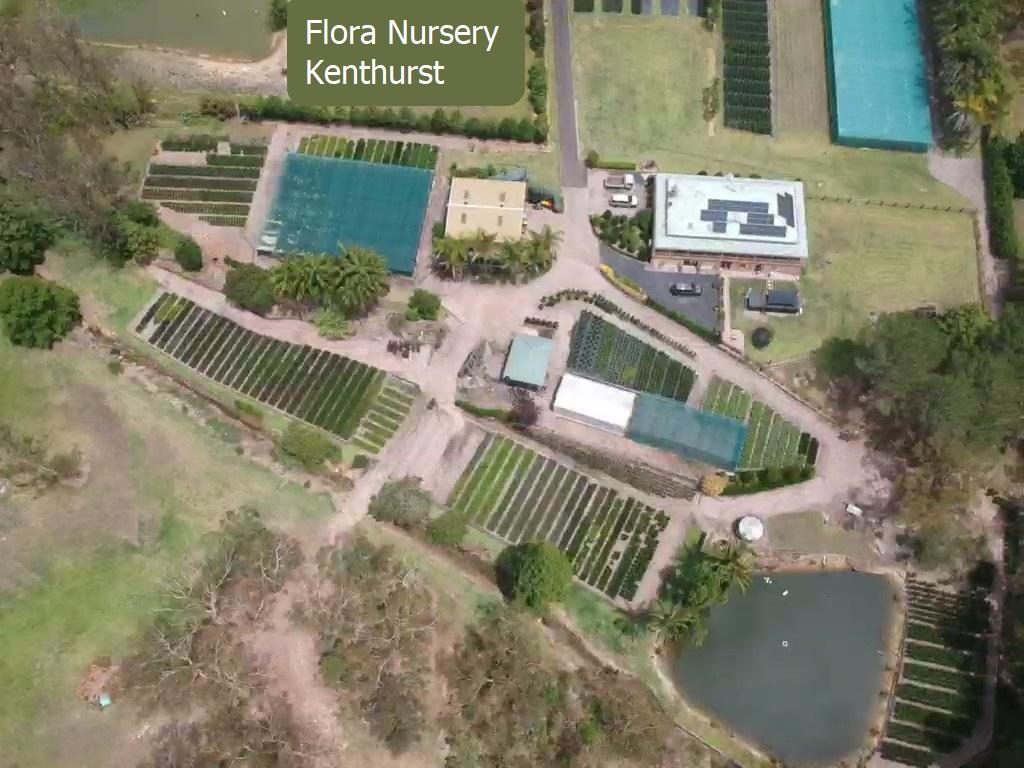 Flora-Nursery-Wholesale-plant-nursery-kenthurst